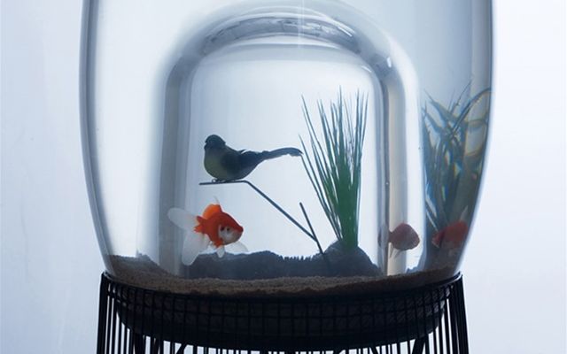 18個唯有天才般的創意才足以創造的獨特造型魚缸，愛好水族你的肯定會想擁有其中一個！