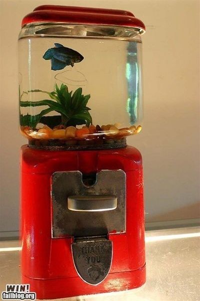 18個唯有天才般的創意才足以創造的獨特造型魚缸，愛好水族你的肯定會想擁有其中一個！