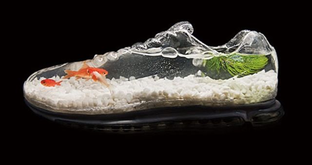 18個唯有天才般的創意才足以創造的獨特造型魚缸，愛好水族你的肯定會想擁有其中一個！