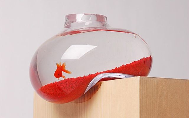 18個唯有天才般的創意才足以創造的獨特造型魚缸，愛好水族你的肯定會想擁有其中一個！