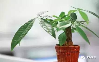 鞋子擺錯方向？你不漏財誰漏財？（風水禁忌之招財篇）