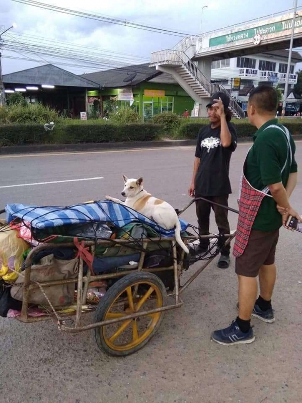 泰國癡情男帶著女友骨灰，步行1541公里!只為了當初的誓言，讓人都忍不住幫他加油打氣!