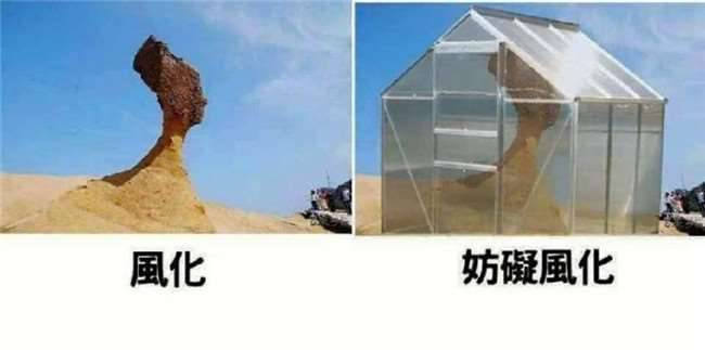 這些老梗看也看不膩，網友創意無極限...笑到不行！