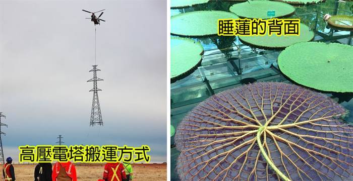 30張「外表跟真相差超大」的世界真相照~~~