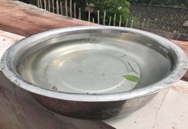 妻子走後，丈夫墳前菜地種下9棵桃樹，一夜之間，桃樹變成了搖錢樹