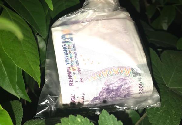 妻子走後，丈夫墳前菜地種下9棵桃樹，一夜之間，桃樹變成了搖錢樹
