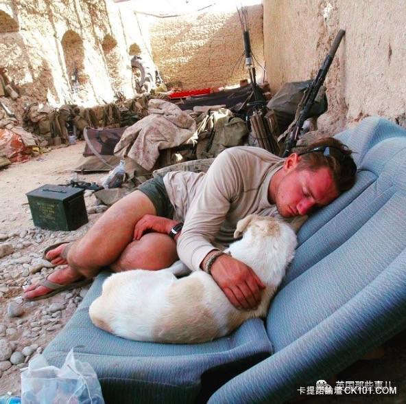 士兵在戰場上丟了幾塊牛肉乾給一隻孤僻的流浪狗…沒想到竟從此改變了他的生活！