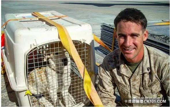 士兵在戰場上丟了幾塊牛肉乾給一隻孤僻的流浪狗…沒想到竟從此改變了他的生活！