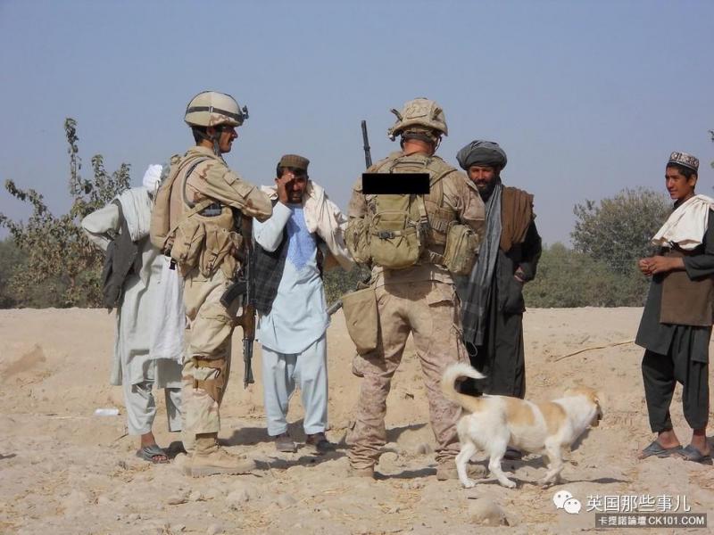 士兵在戰場上丟了幾塊牛肉乾給一隻孤僻的流浪狗…沒想到竟從此改變了他的生活！