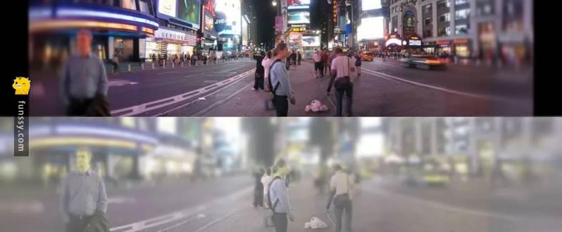 貓咪vs人類的視力！到底有什麼差別呢？
