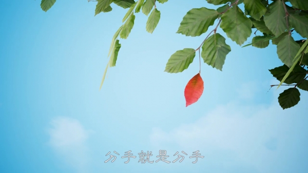 過去不合適的，將來也不會再合適了！