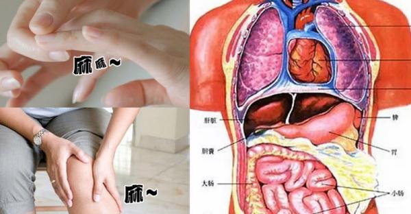 手臂經常麻、小腿容易抽筋？那是你的內臟在向你求救！不看你真的會後悔...！