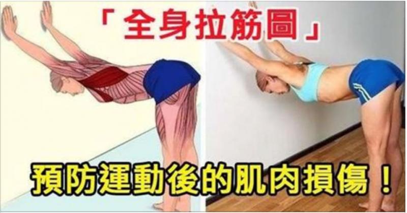你知道拉筋主要是拉哪裡嗎？「全身拉筋圖」讓你一目瞭然，更能預防運動後的肌肉損傷！ 