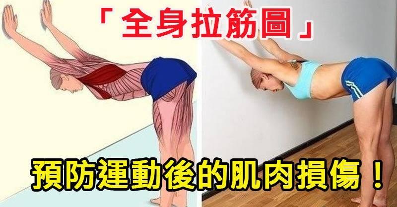 你知道拉筋主要是拉哪裡嗎？「全身拉筋圖」讓你一目瞭然，更能預防運動後的肌肉損傷！ 