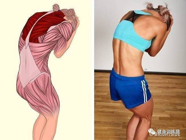 你知道拉筋主要是拉哪裡嗎？「全身拉筋圖」讓你一目瞭然，更能預防運動後的肌肉損傷！ 