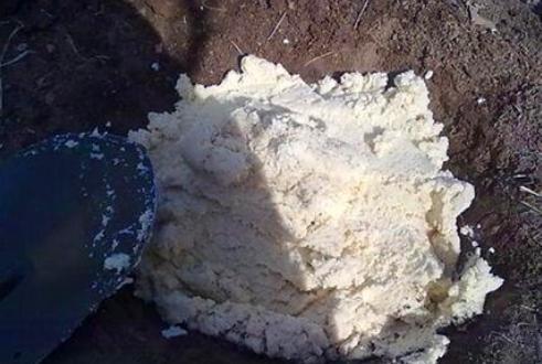 養花不再施肥，用上這種「泥」，往盆里「倒一點」，輕鬆爆滿盆！