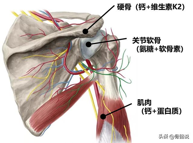 4個動作天天練，告別肩周炎不再犯