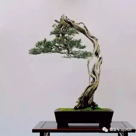 懂得低頭才能出頭!!