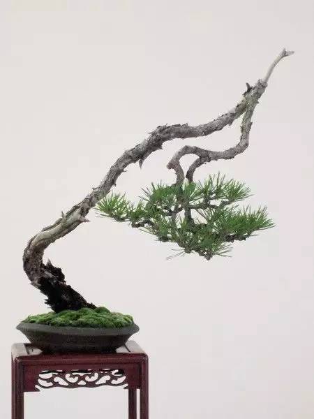 懂得低頭才能出頭!!