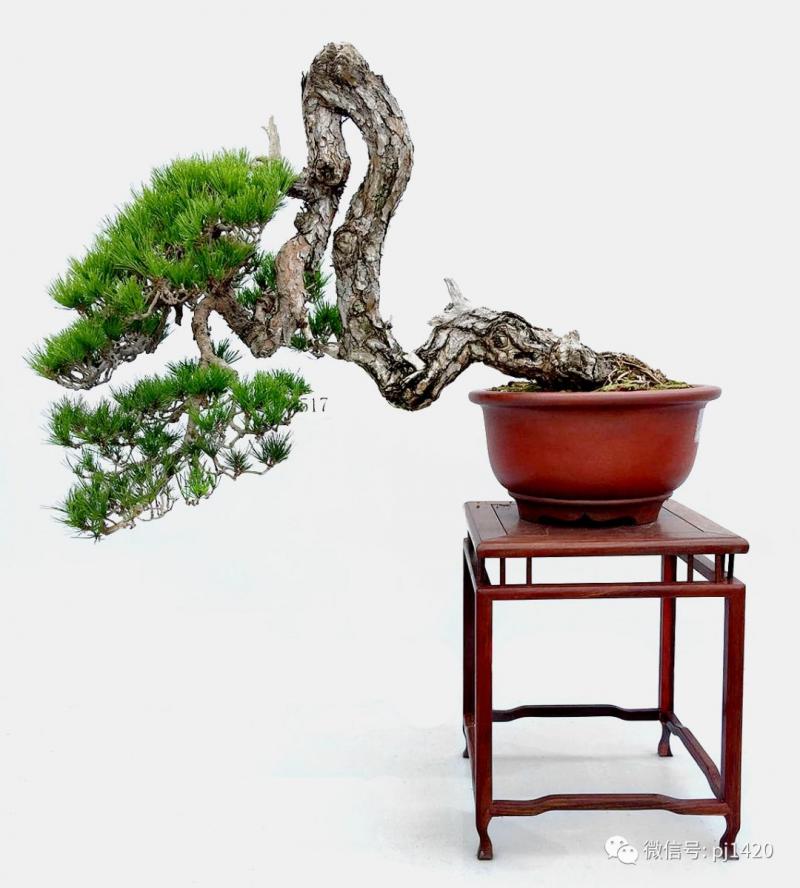 懂得低頭才能出頭!!
