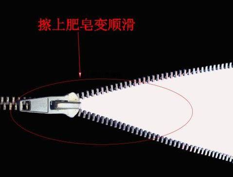 除蟑螂秘方：只用一顆馬鈴薯，就把家中蟑螂通通消滅，解決一大片，太厲害了