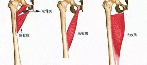 每天原地「青蛙式」50次，比跑步效果好，肩膀不僵硬，腰也不痛了