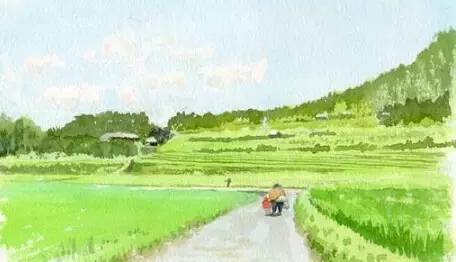 除了堅強，我別無選擇