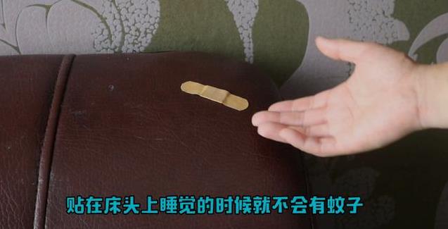 睡前在床頭貼一個創可貼太厲害了，解決了家家戶戶最大的難題，看完你會感謝我！