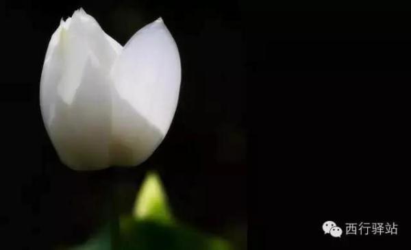 路是自己走的！人生苦短，這「五別」做到了...此生沒遺憾