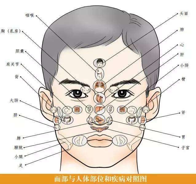 必知的一些中醫常識，以及身體10大重要穴位，收藏一下吧