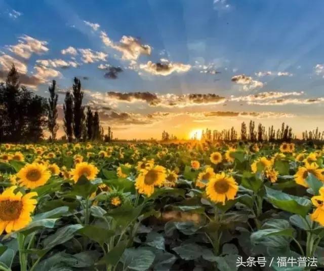 正能量的人，真的自帶光芒！