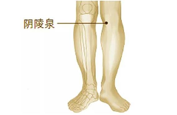 「濕氣重，百病生」，常按這3個祛濕穴，輕鬆排除濕氣又減肥！