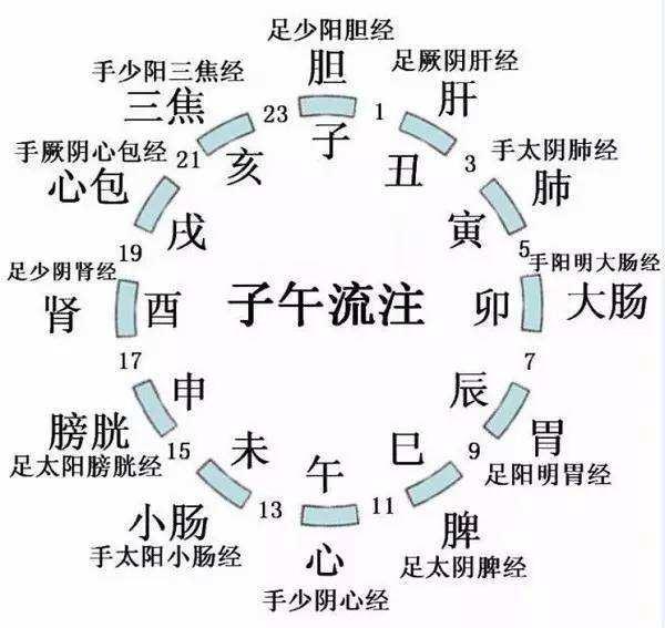 喝水多1步潤腸解毒！中醫：養胃防過敏早餐這樣吃