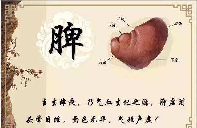 喝水多1步潤腸解毒！中醫：養胃防過敏早餐這樣吃