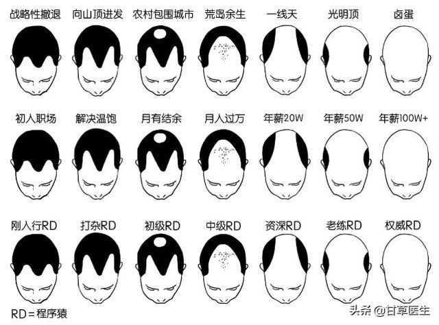 中醫談脫髮｜拿什麼拯救你，我的髮際線！