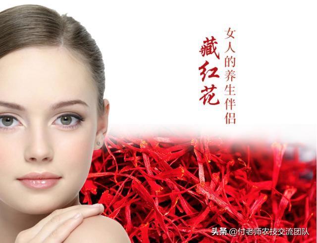女性使用藏紅花好嗎？這幾點需要知道！