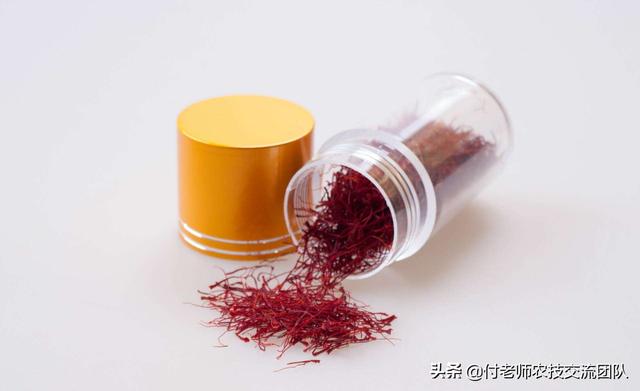 女性使用藏紅花好嗎？這幾點需要知道！