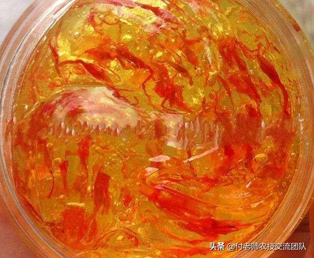 女性使用藏紅花好嗎？這幾點需要知道！