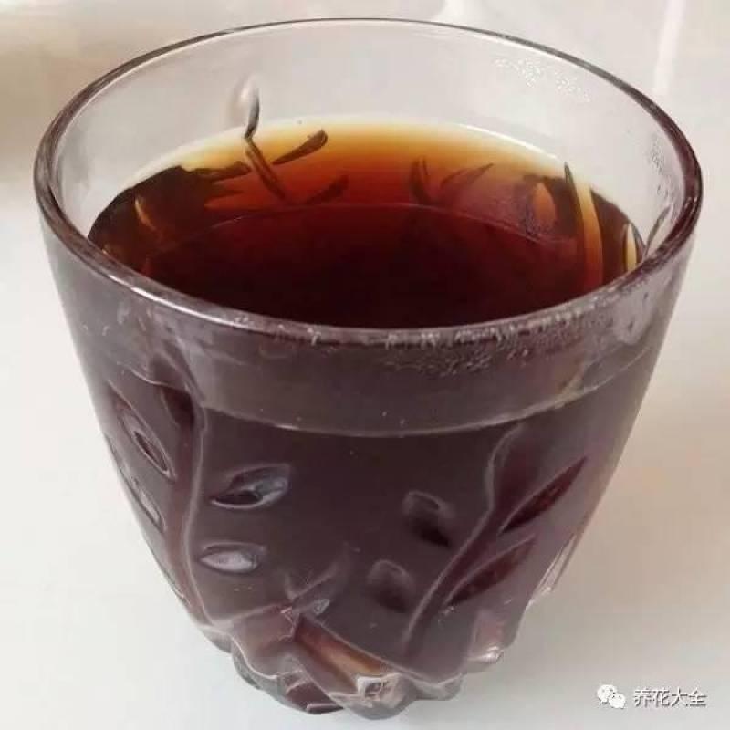 水果皮做酵素來養花無需施肥 花草漂亮不生蟲