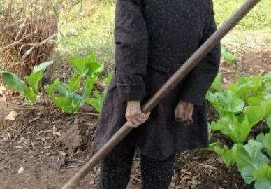 妻子去世後，老漢準備去兒子家住，剛吃了頓飯就說：我明天回去
