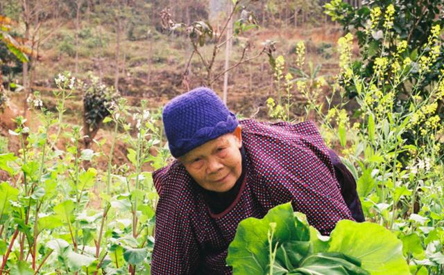 兄弟分家，唯有小兒媳願養婆婆，3年後，大兒媳求著要照顧婆婆