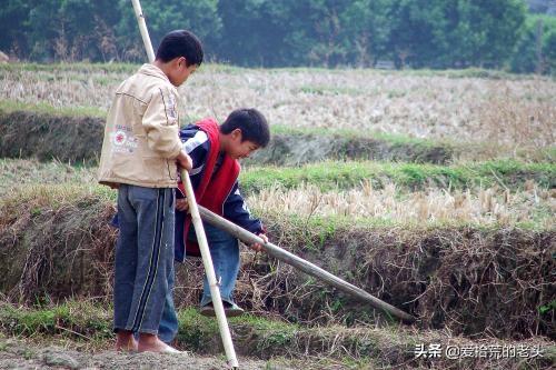 母親藉口打工離家出走，兒子苦尋9年無果，結婚時才知母親住身邊