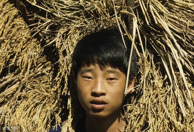 殘疾「兒子」回家，依舊被父母一家趕出，沒想到兒子早已身價千萬！
