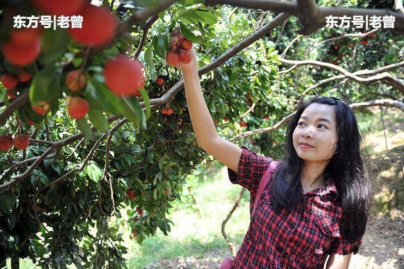 丈夫意外離開，妻子夜裡分錢被罵，她拿出帳本婆婆哭成淚人