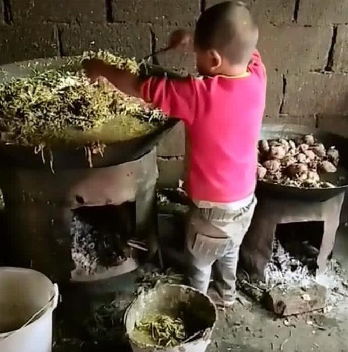 9歲男孩每天上學遲到，老師批評幾次沒用，家訪看到場景淚奔