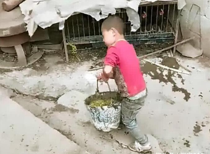9歲男孩每天上學遲到，老師批評幾次沒用，家訪看到場景淚奔