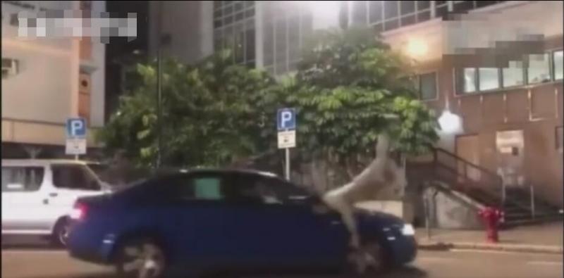 給妻子辦場豪華婚禮，請來半個娛樂圈明星，奢華至極！但妻子卻被轟：太醜！