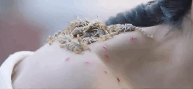 太敬業！「魏瓔珞」吳瑾言新劇不用替身，「20多隻活蠍子」爬上身，工作人員看的驚心！