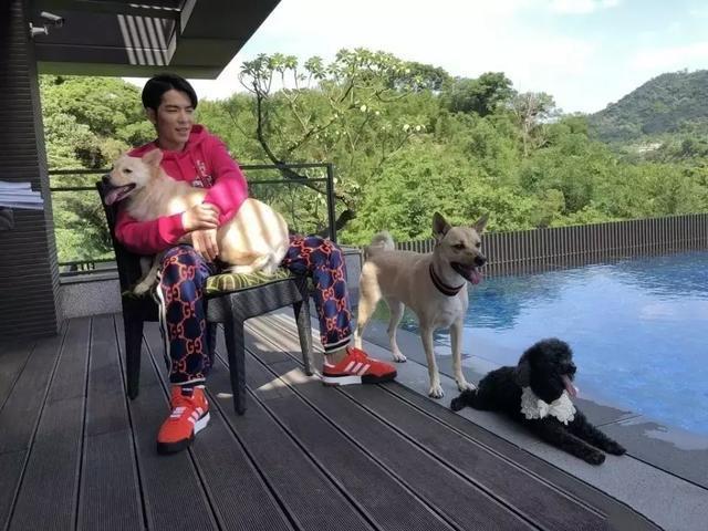 曾經「被人嫌棄」的土狗 如今卻成為大明星蕭敬騰的寶貝！如今百萬都不換