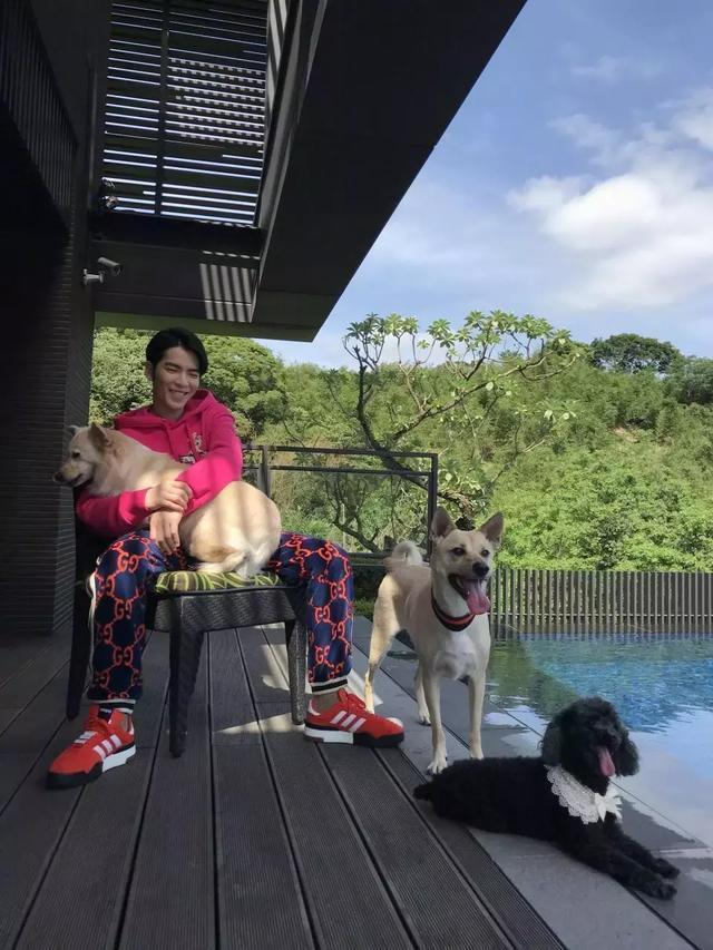 曾經「被人嫌棄」的土狗 如今卻成為大明星蕭敬騰的寶貝！如今百萬都不換